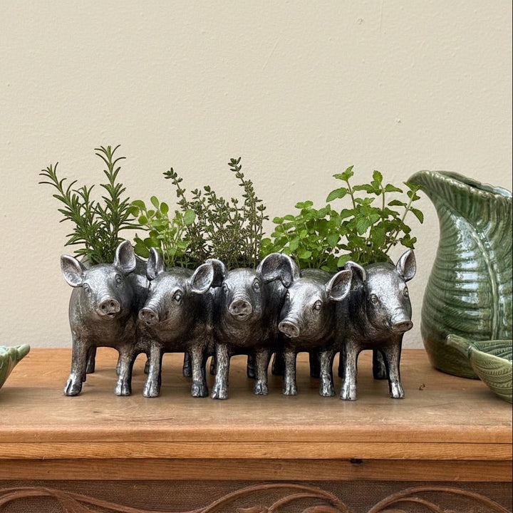 Vintage Hare Silver Pigs Planter, antique silver finish, holding herbs and plants. Features five pigs in a row.